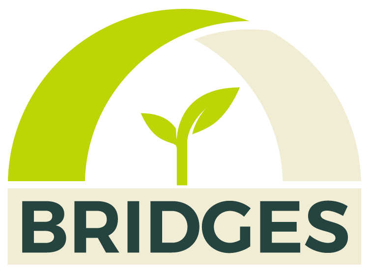 BRIDGES